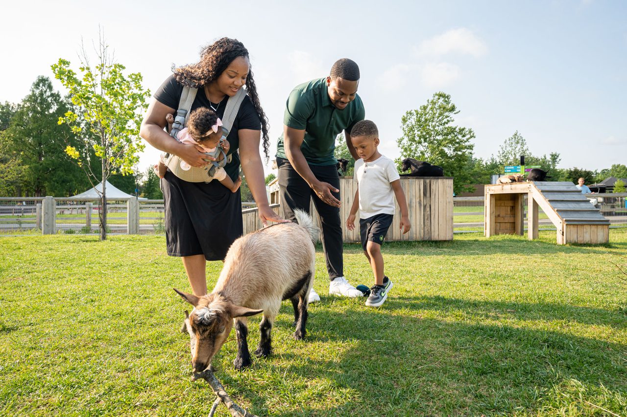 A family petting a goat at the Detroit Zoo