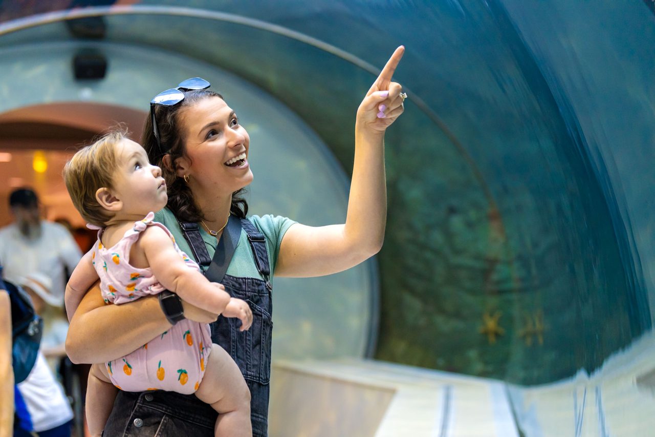 A parent and child looking up at an aquarium exhibit at the Detroit Zoo
